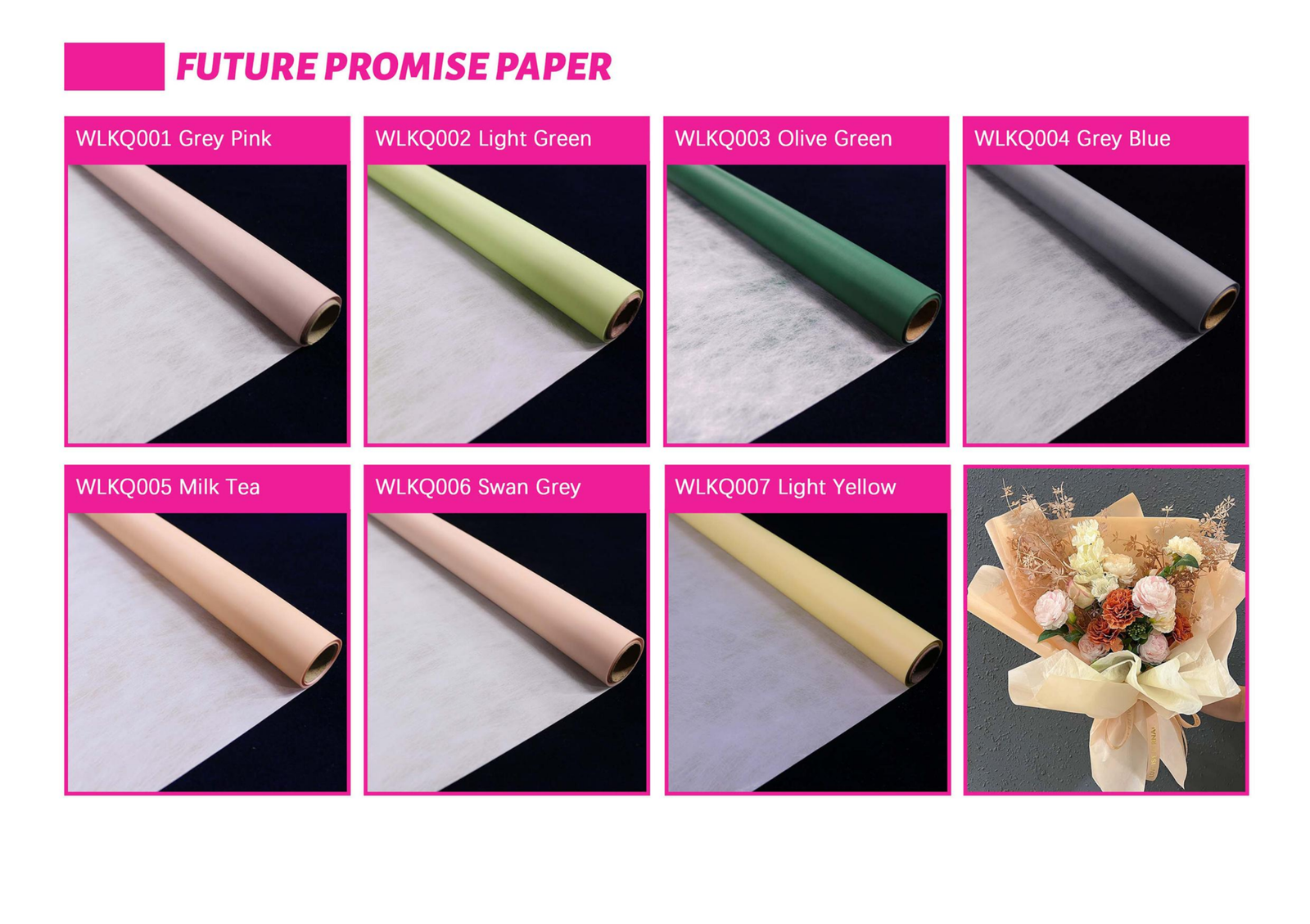 Future Promise Paper